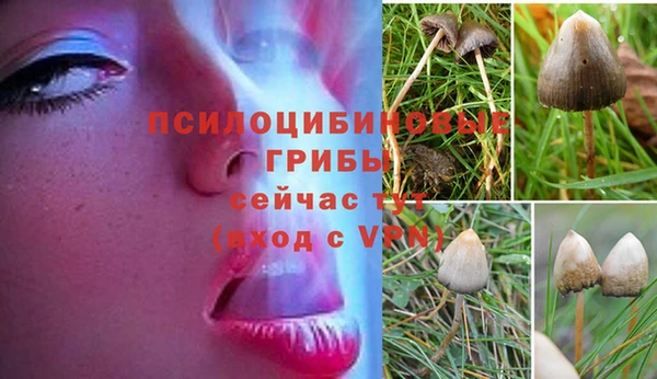дживик Беломорск