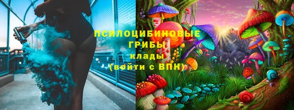 кокаин Белокуриха